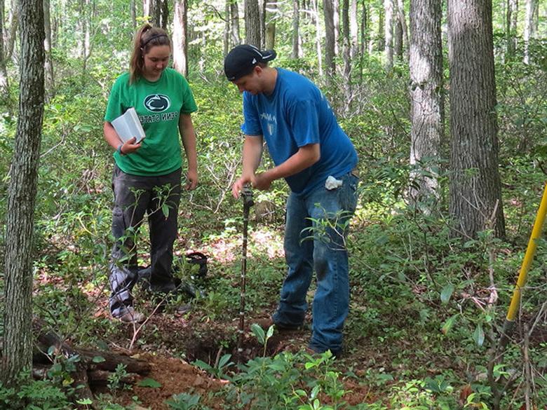 Students performing research 